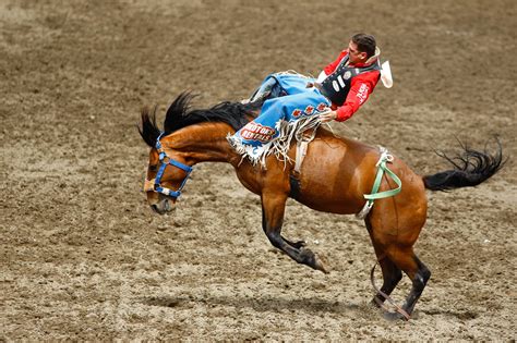 Calgary Stampede Videos